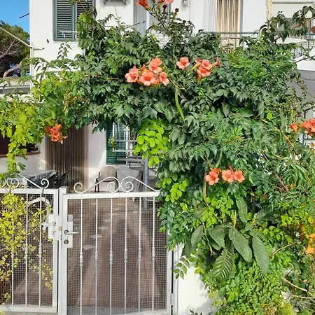 In * ラ・カレッタ